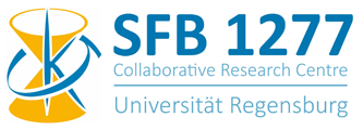 SFB 1277 logo