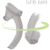 SFB 689 logo